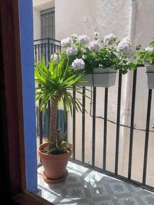 Casa Ziba Casco Antiguo Wifiaa Appartement Peñíscola Buitenkant foto